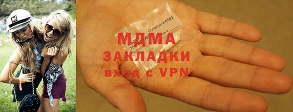 хмурый Арсеньев