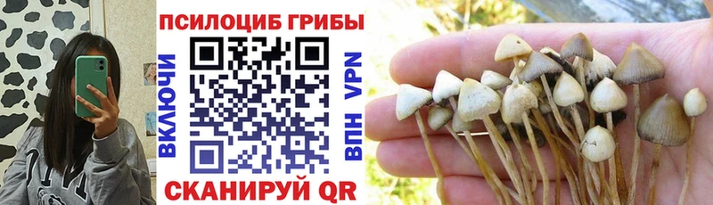Псилоцибиновые грибы Magic Shrooms  Купить закладки  Киров 
