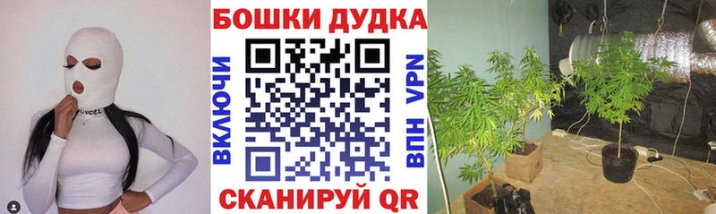 Купить  Киров  Конопля White Widow 